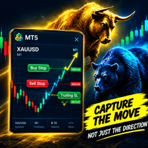 Buy Stop Sell Stop EA Bull MT5 Capture the Move